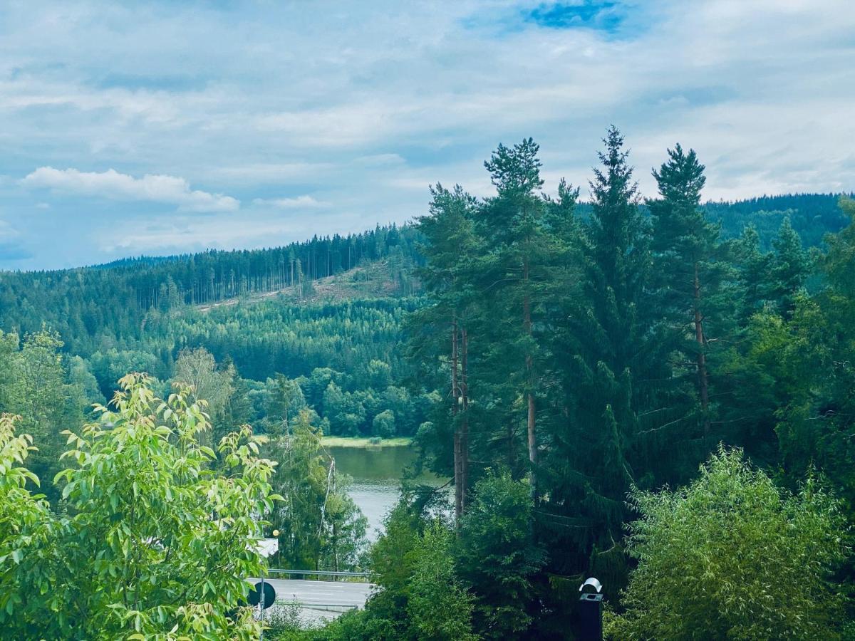 Apartmany Lipno 46 Lipno nad Vltavou Bagian luar foto