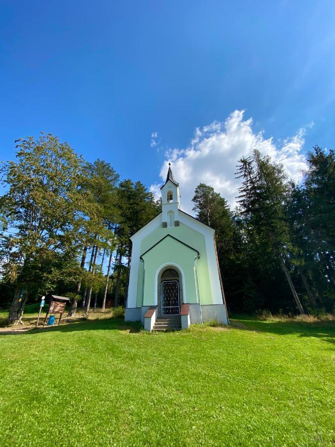 Apartmany Lipno 46 Lipno nad Vltavou Bagian luar foto