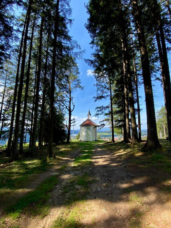 Apartmany Lipno 46 Lipno nad Vltavou Bagian luar foto