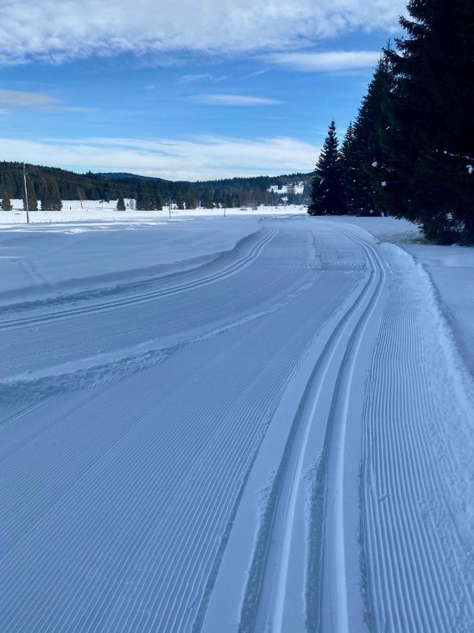 Apartmany Lipno 46 Lipno nad Vltavou Bagian luar foto