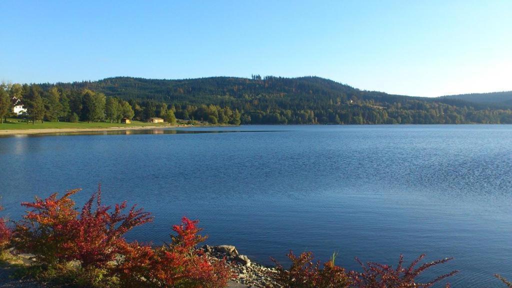 Apartmany Lipno 46 Lipno nad Vltavou Bagian luar foto